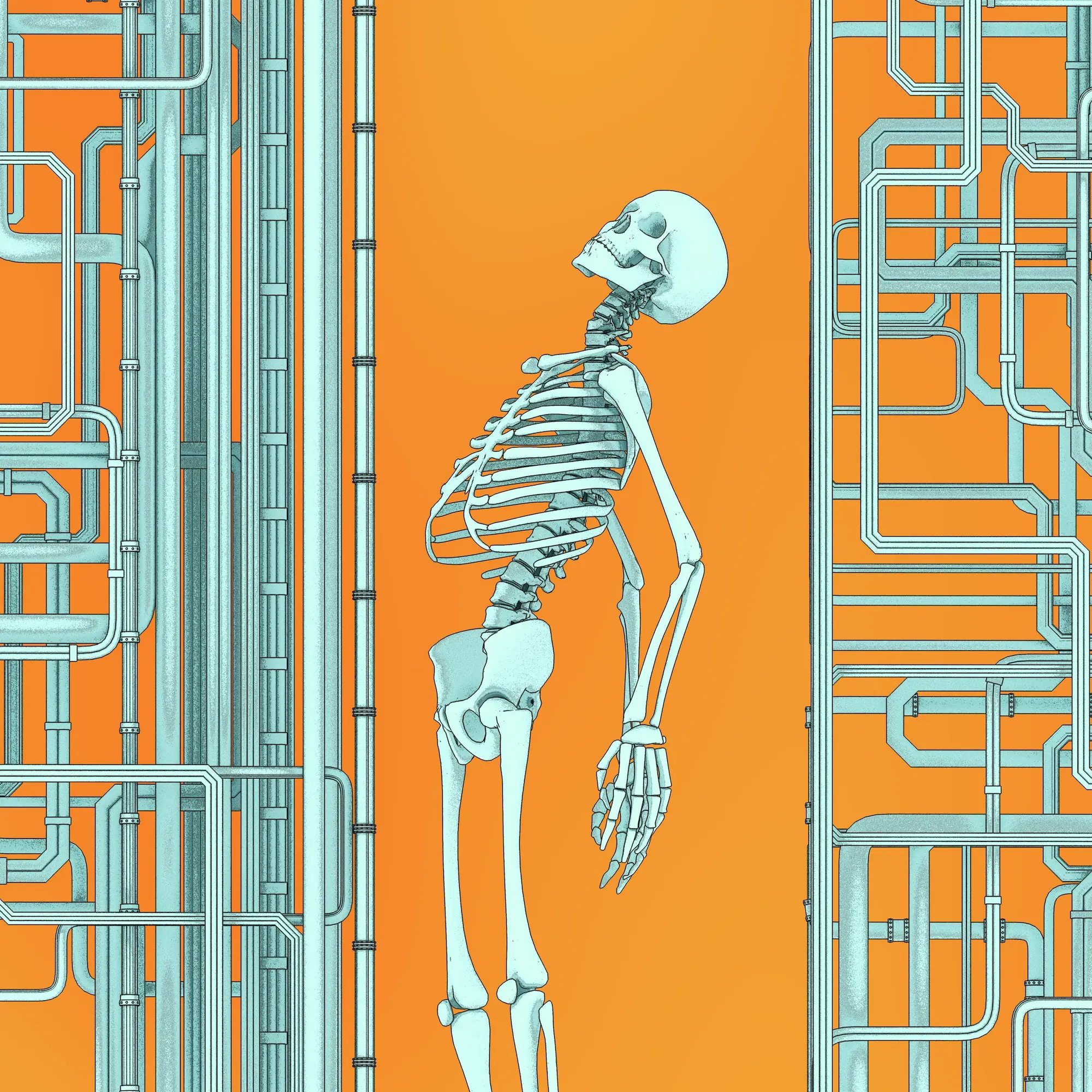 Vibrant Visions of the Skeleton