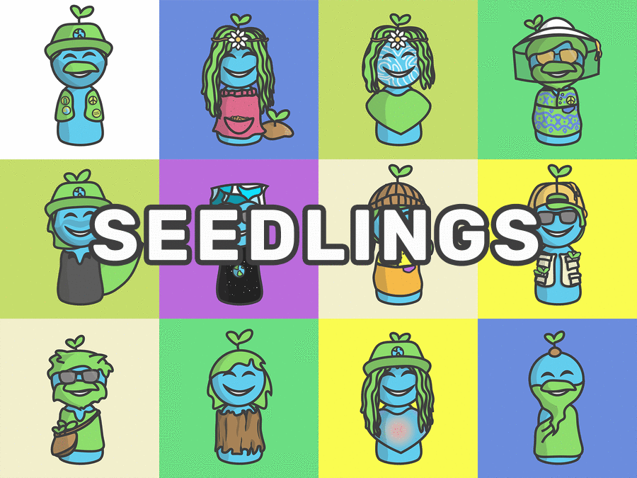 The Seedlings