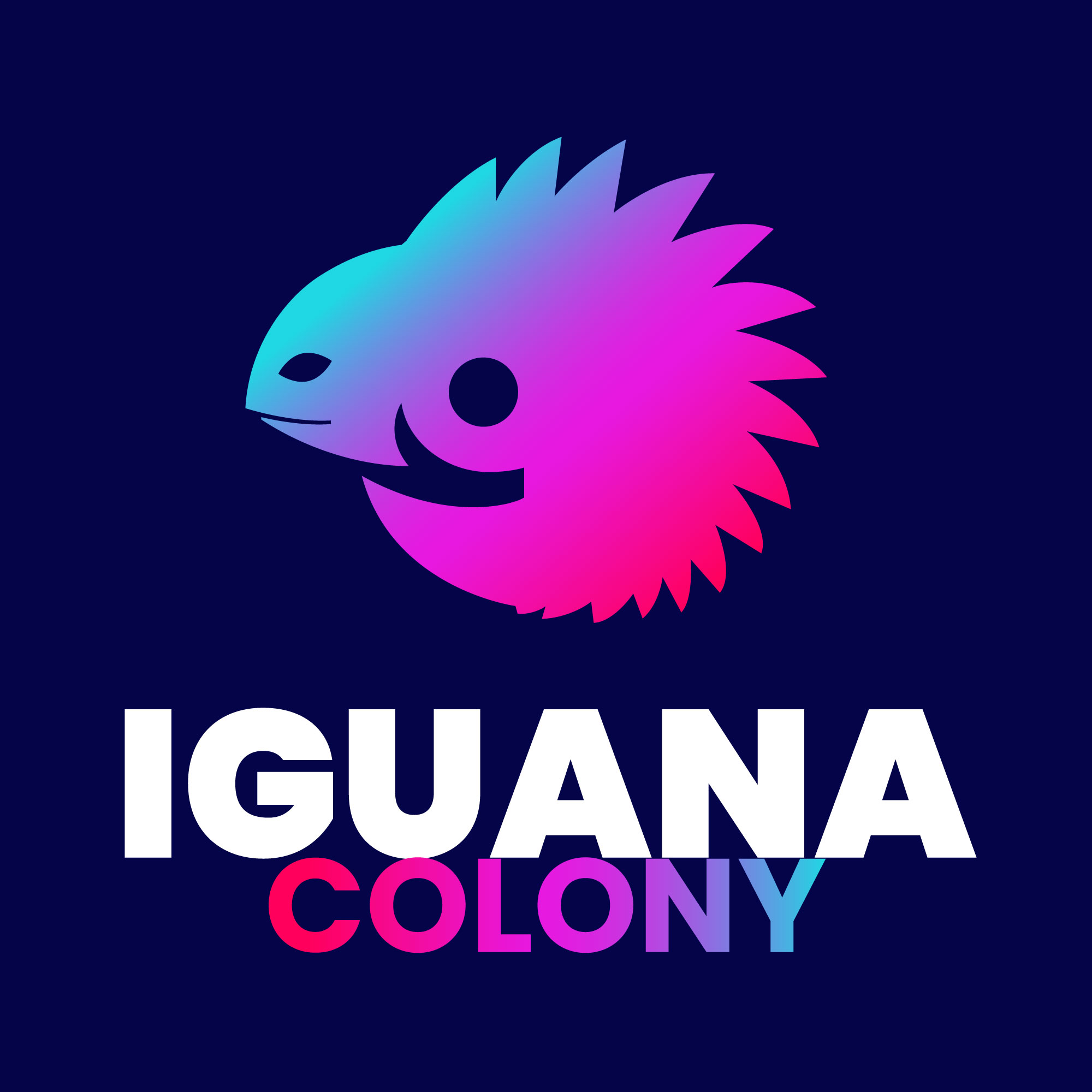 Iguana Colony