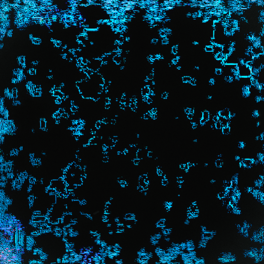 Universe Of Broken Code