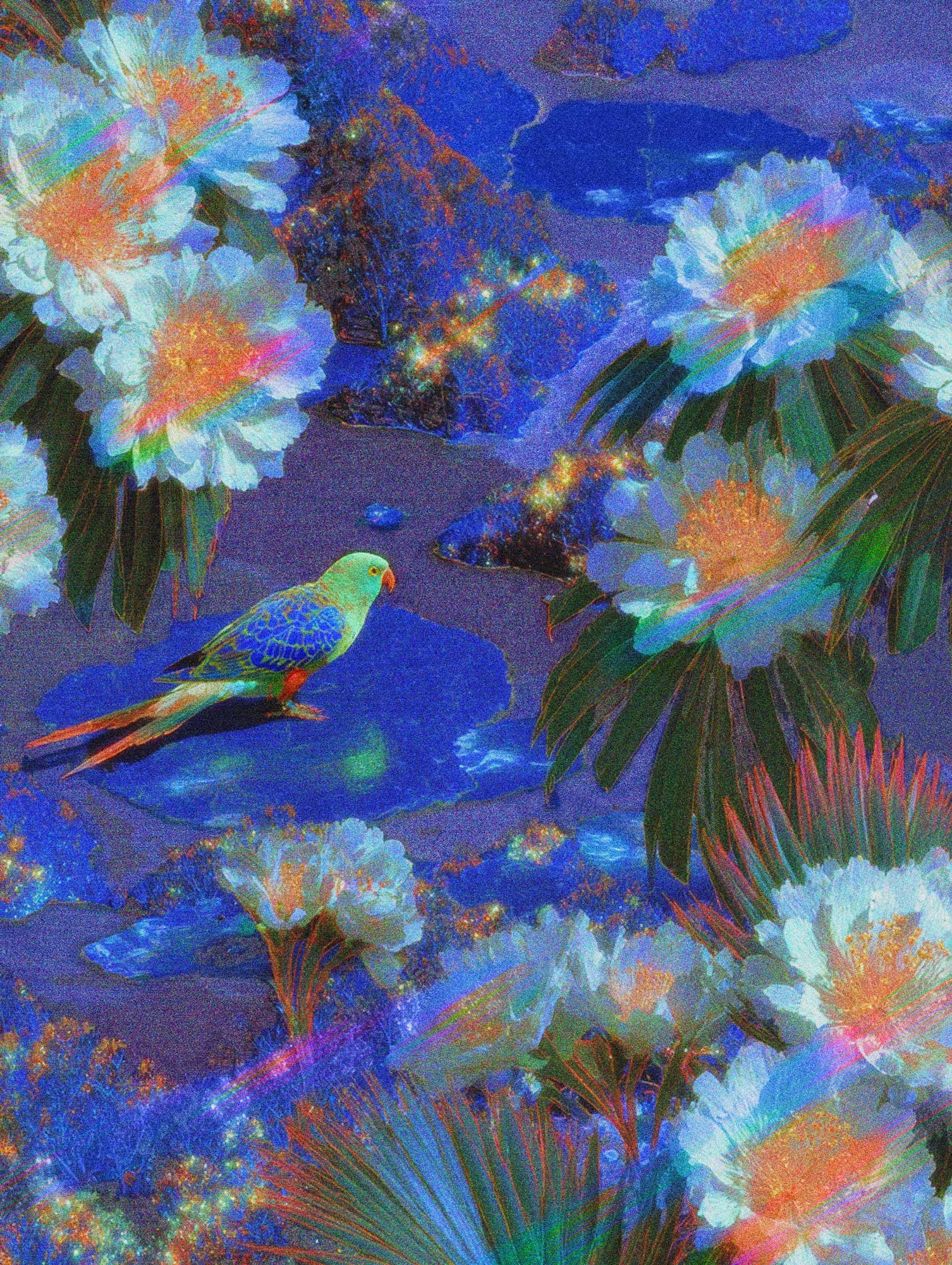 Three Parrots, One Soul #1