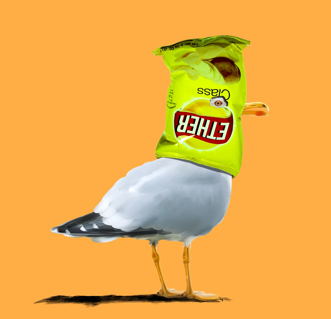 Trash Talking Seagull