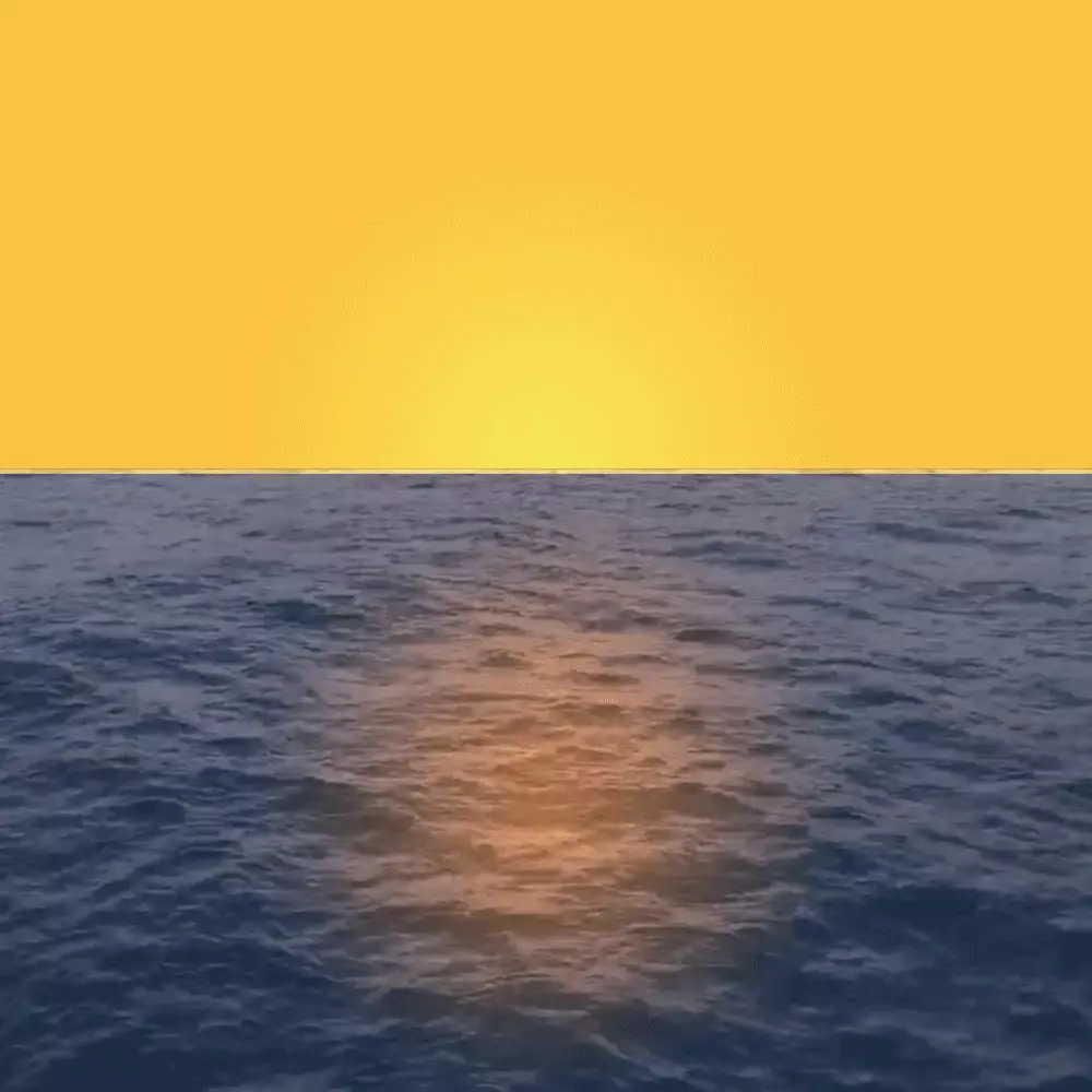 Sea Thoughts NFT Project