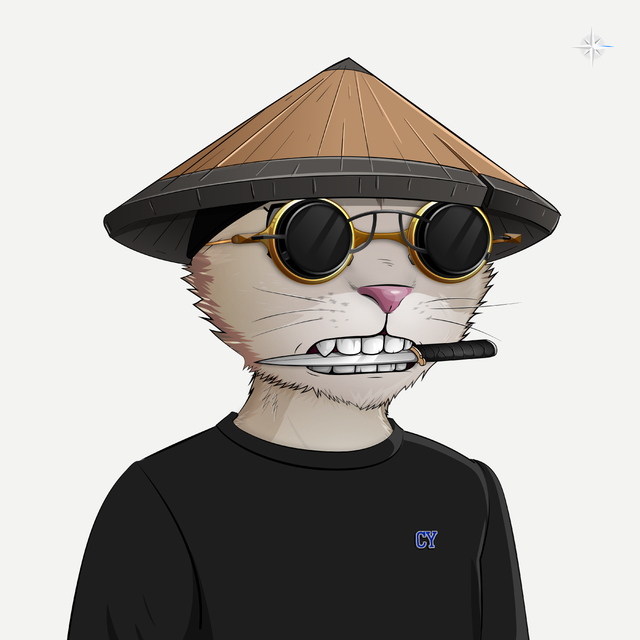Catsyard