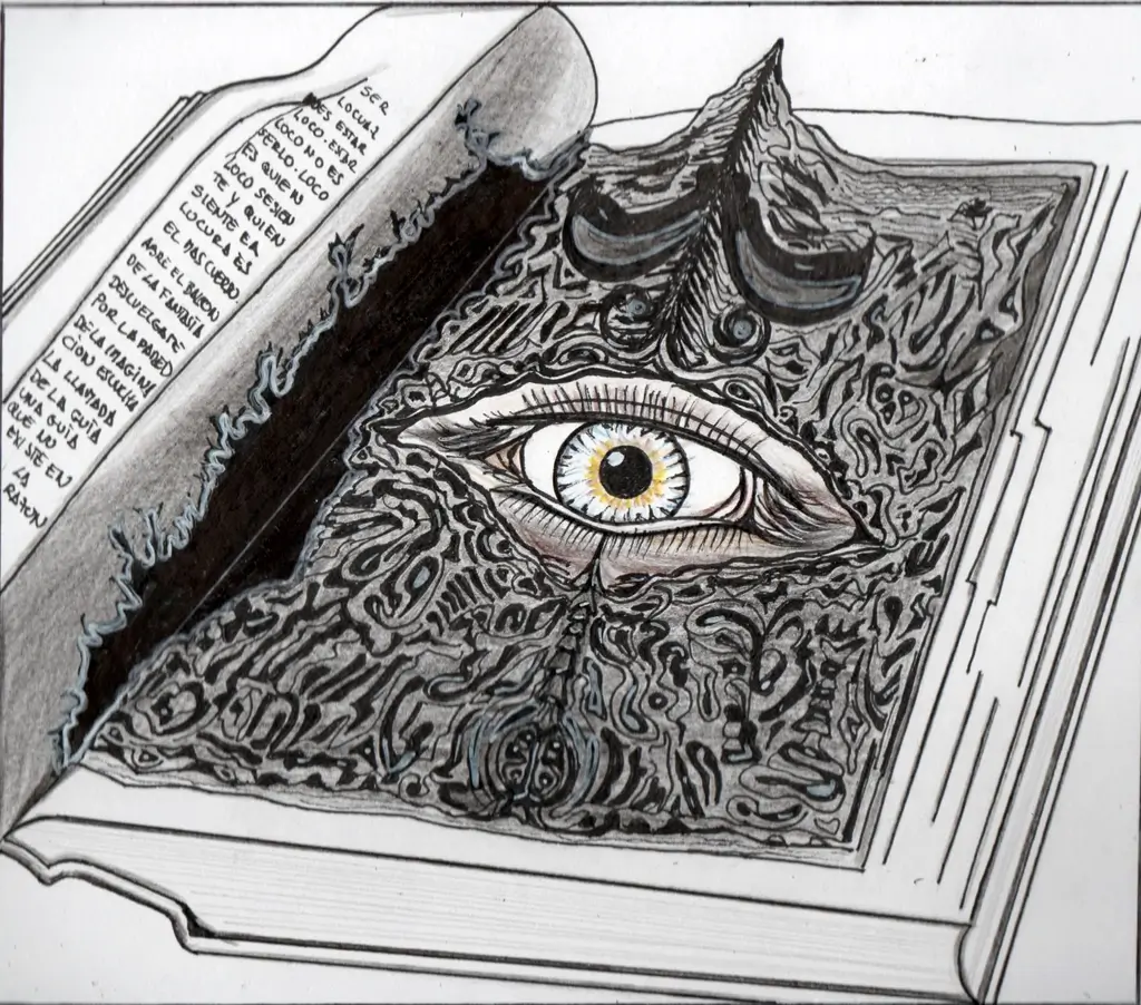 The Observer