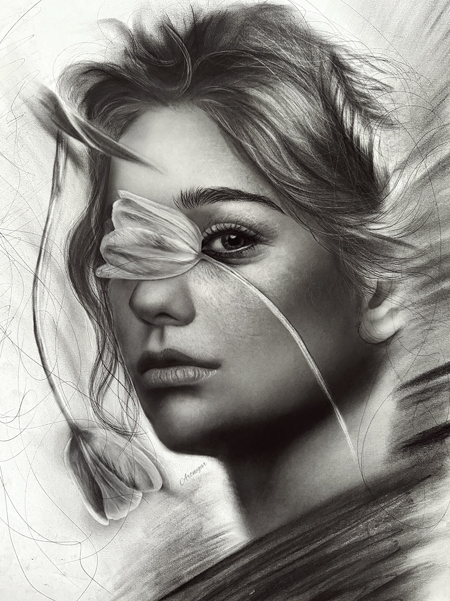 Petals of Imagination