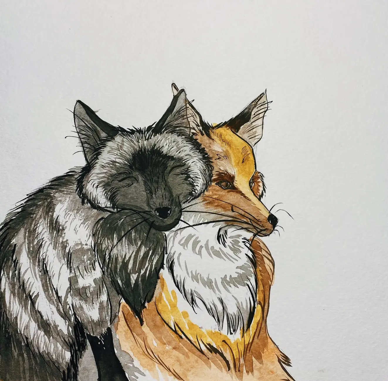 Yin and Yang of the Forest