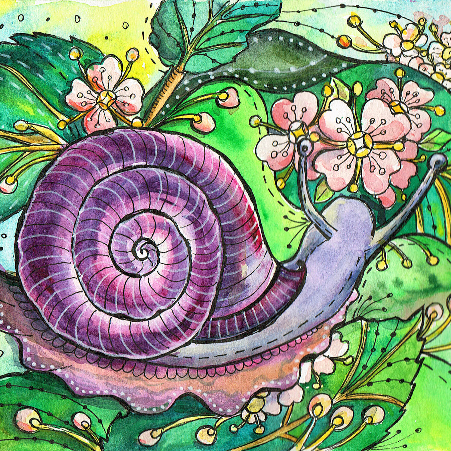 The Flower Snail