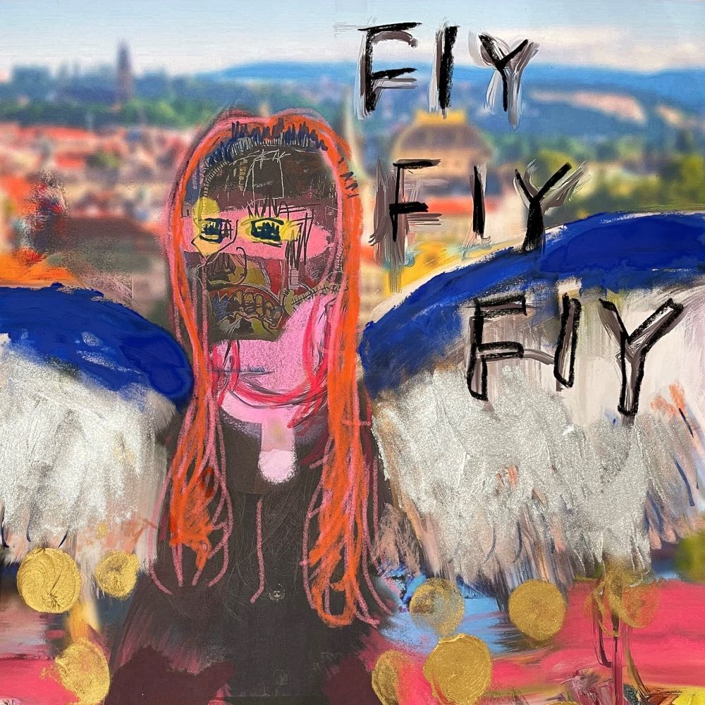 Fly Fly Fly